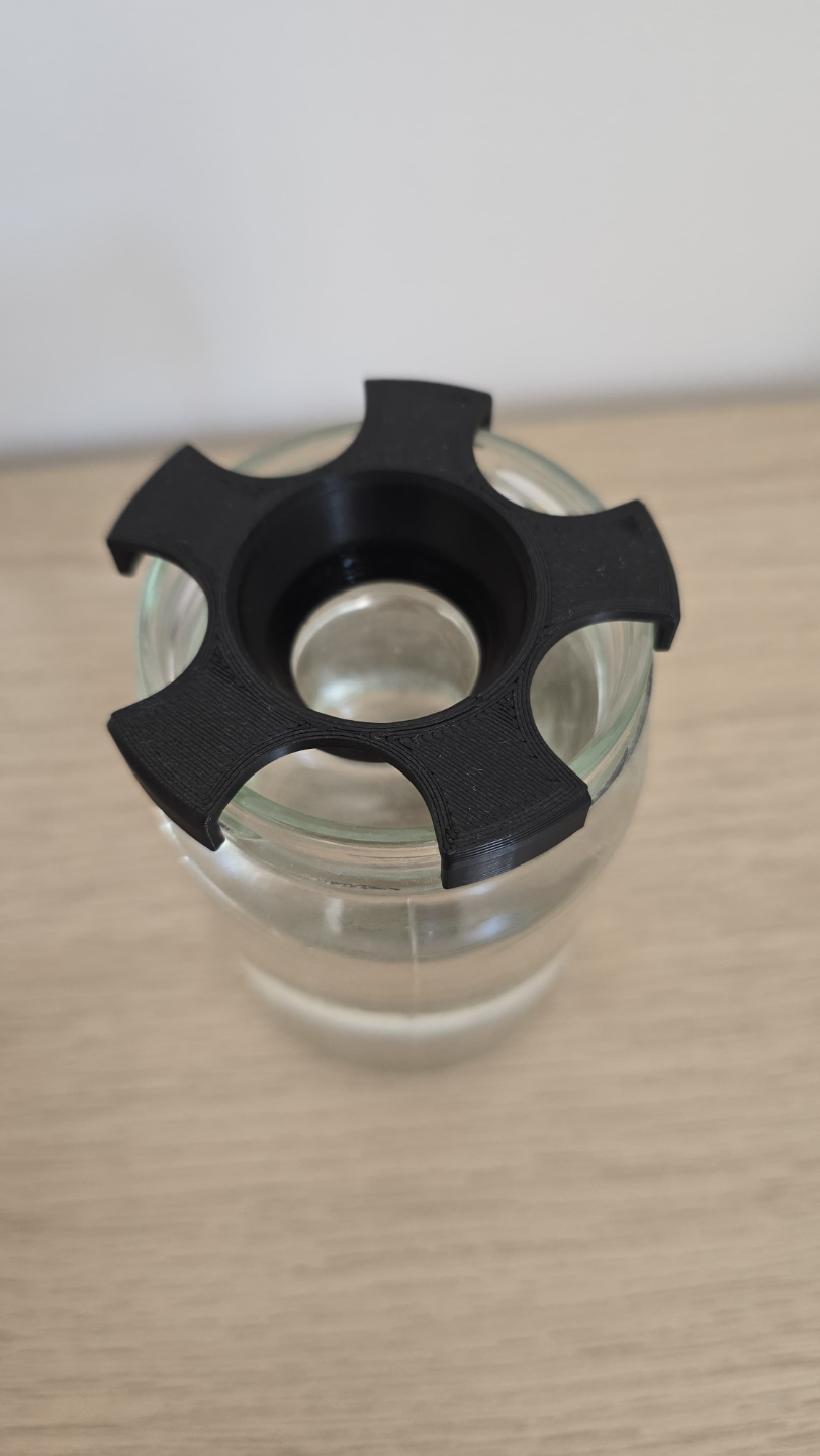 Avocado Seed Germinating Holder