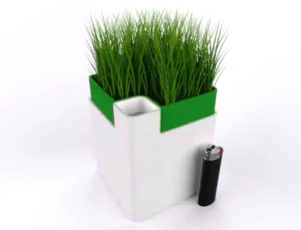 Self Watering Pot