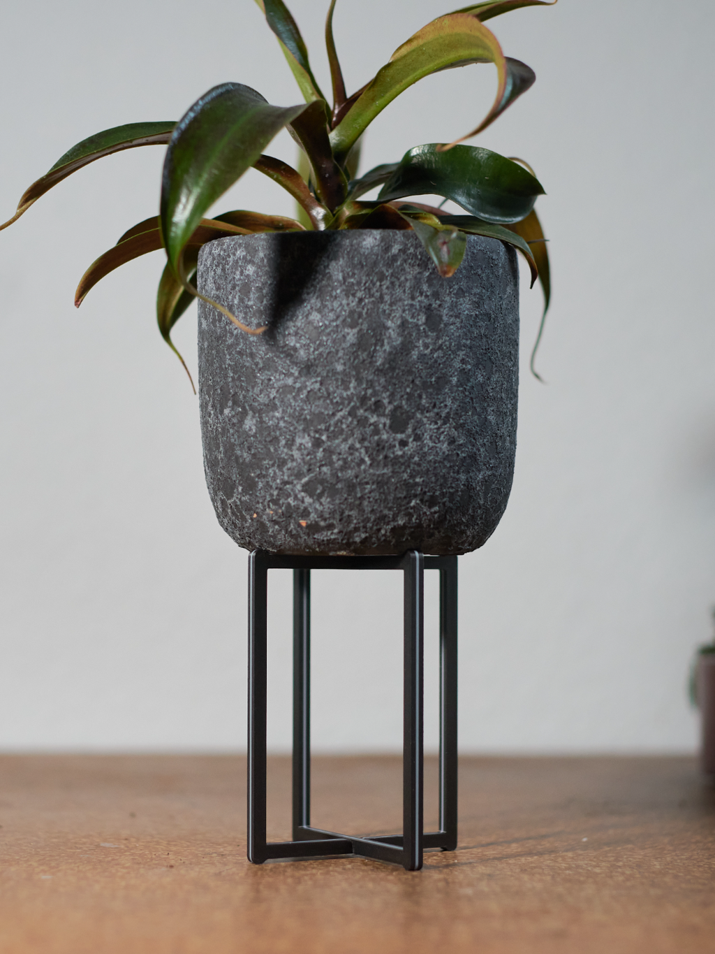 Snap Fit Planter Stands
