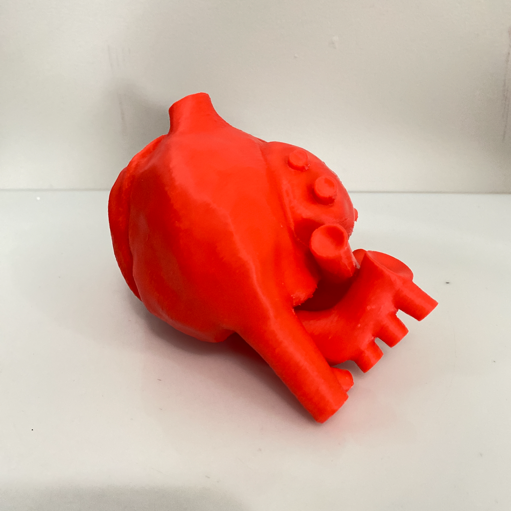 Anatomically Accurate Heart - Solid Model