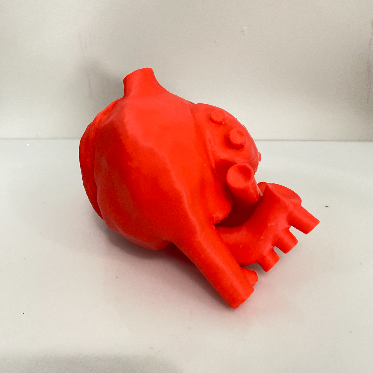 Anatomically Accurate Heart - Solid Model