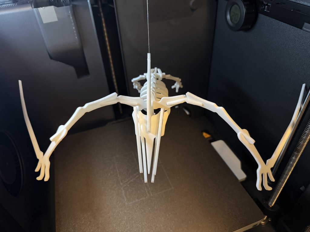 Pterodactyl Dinosaur Skeleton Puzzle