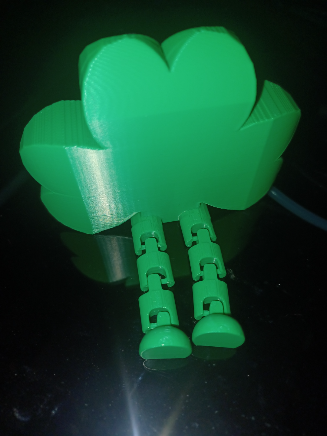 Lucky Shamrock Buddy