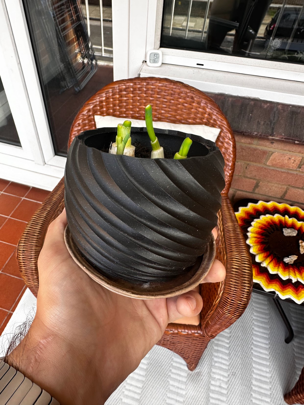 My Twisted Plant Pot