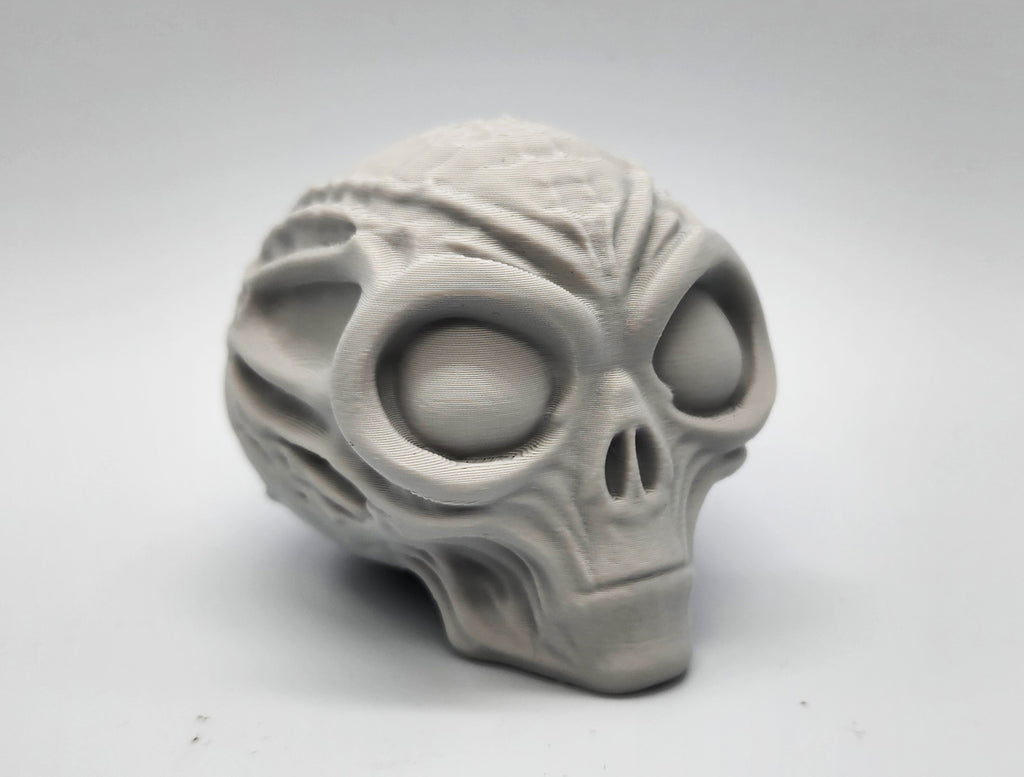 Mummified Alien Skull