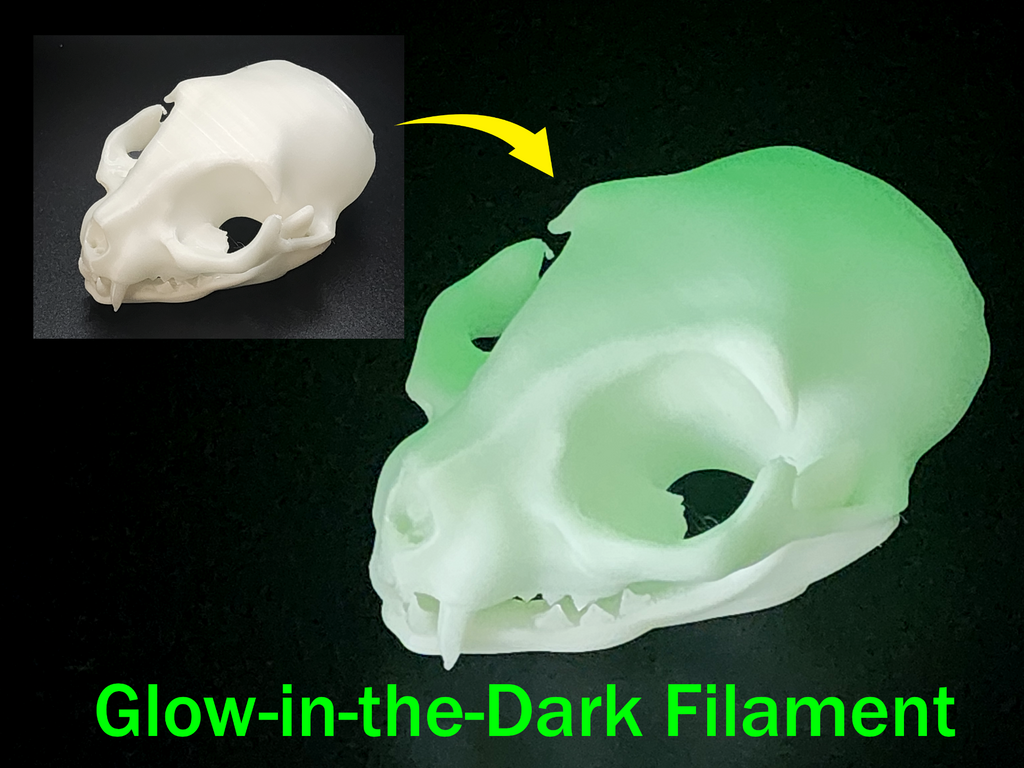 Cat Skull - Easy(ish) Print