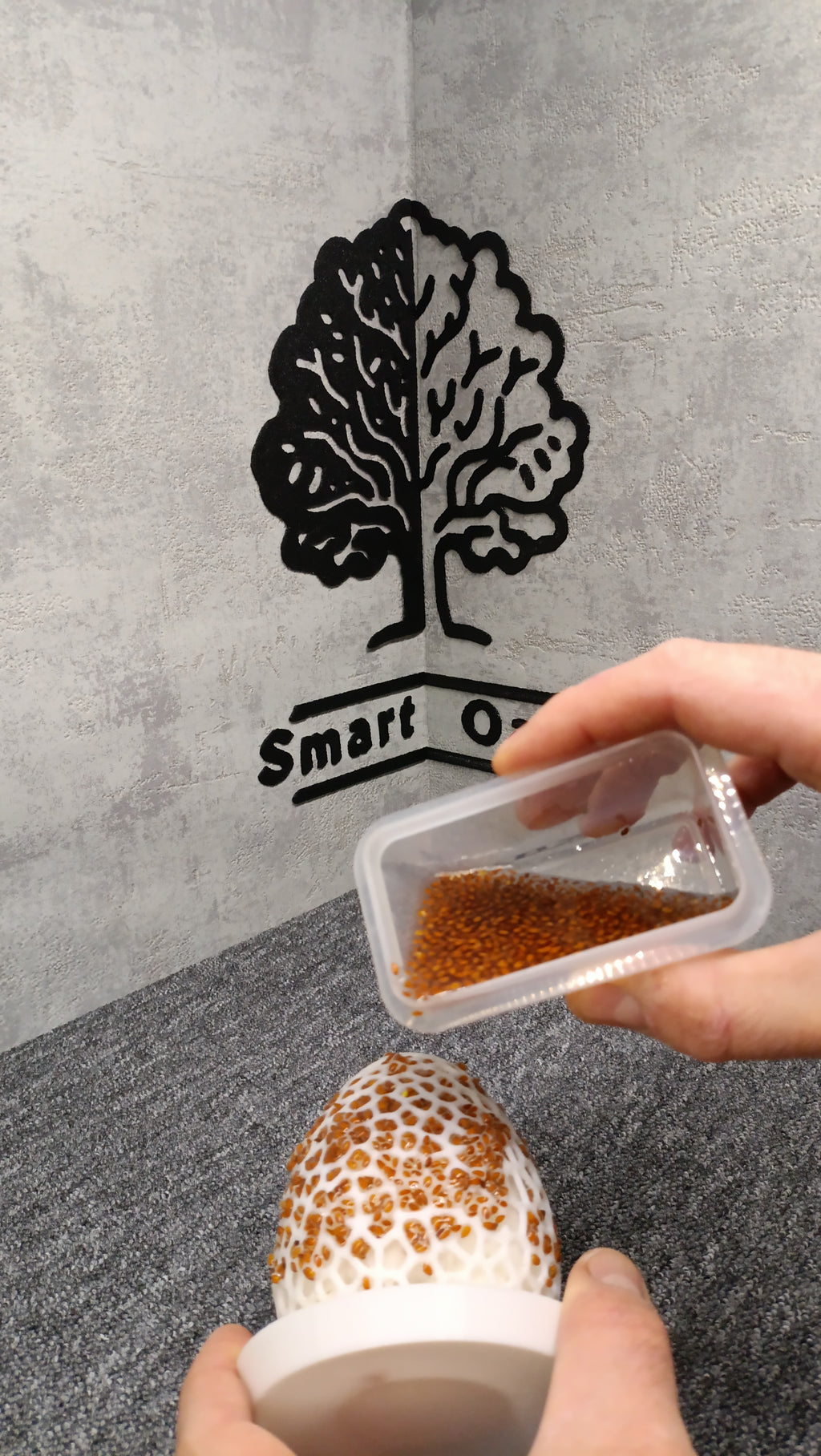 Easter egg for cress/Wielkanocne jajko na rzeżuchę