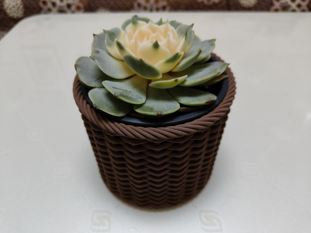 Weaving Pots