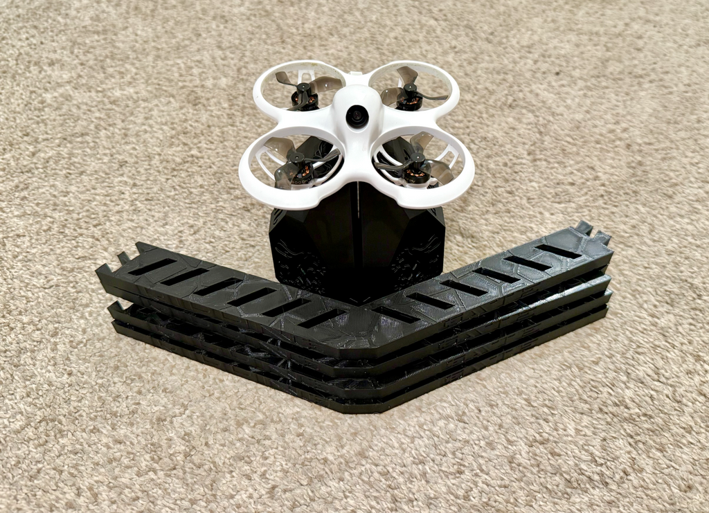 Ripping Gate by Takoza (Tiny Whoop Race Gate)