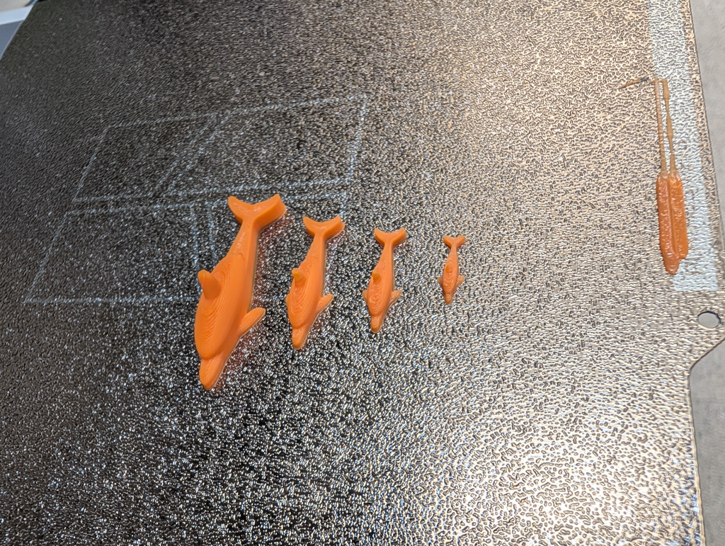 Danny Dolphin the Benchy Buddy