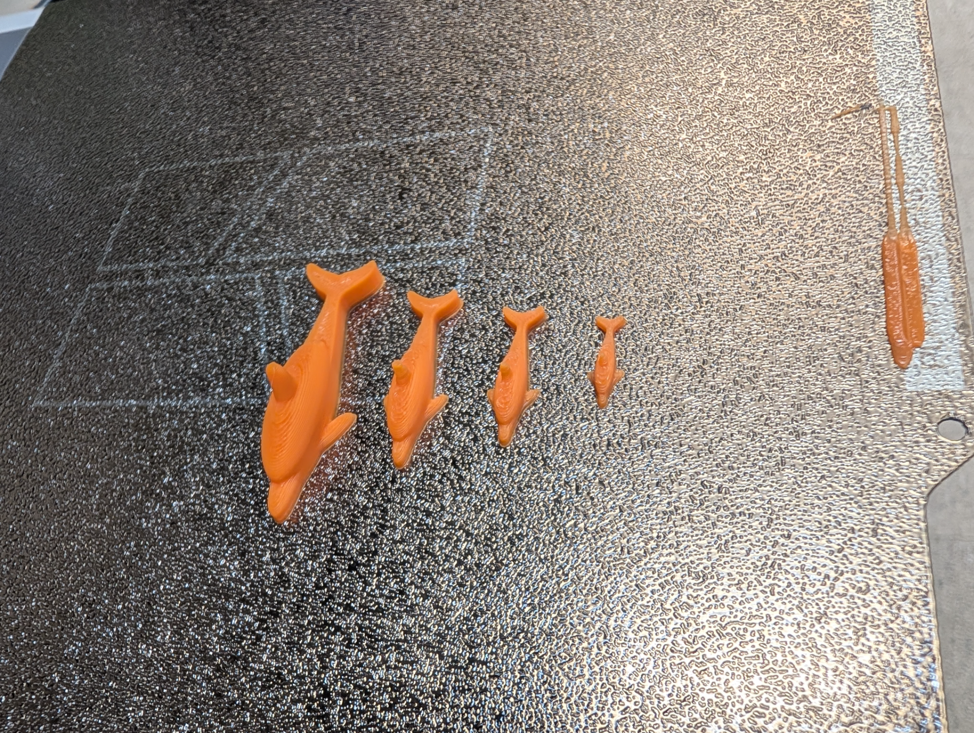 Danny Dolphin the Benchy Buddy