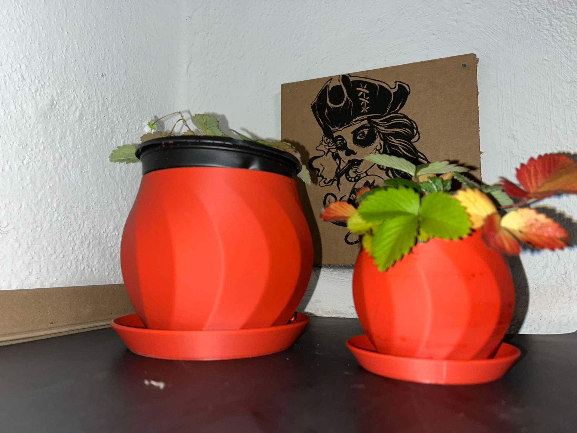 A flower pot with a tray for bouquets, bonsai