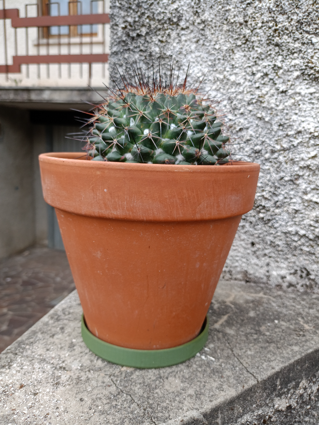 Sottovaso Moderno