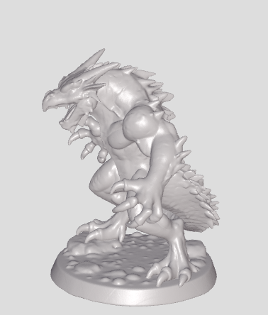 Draconic Warrior