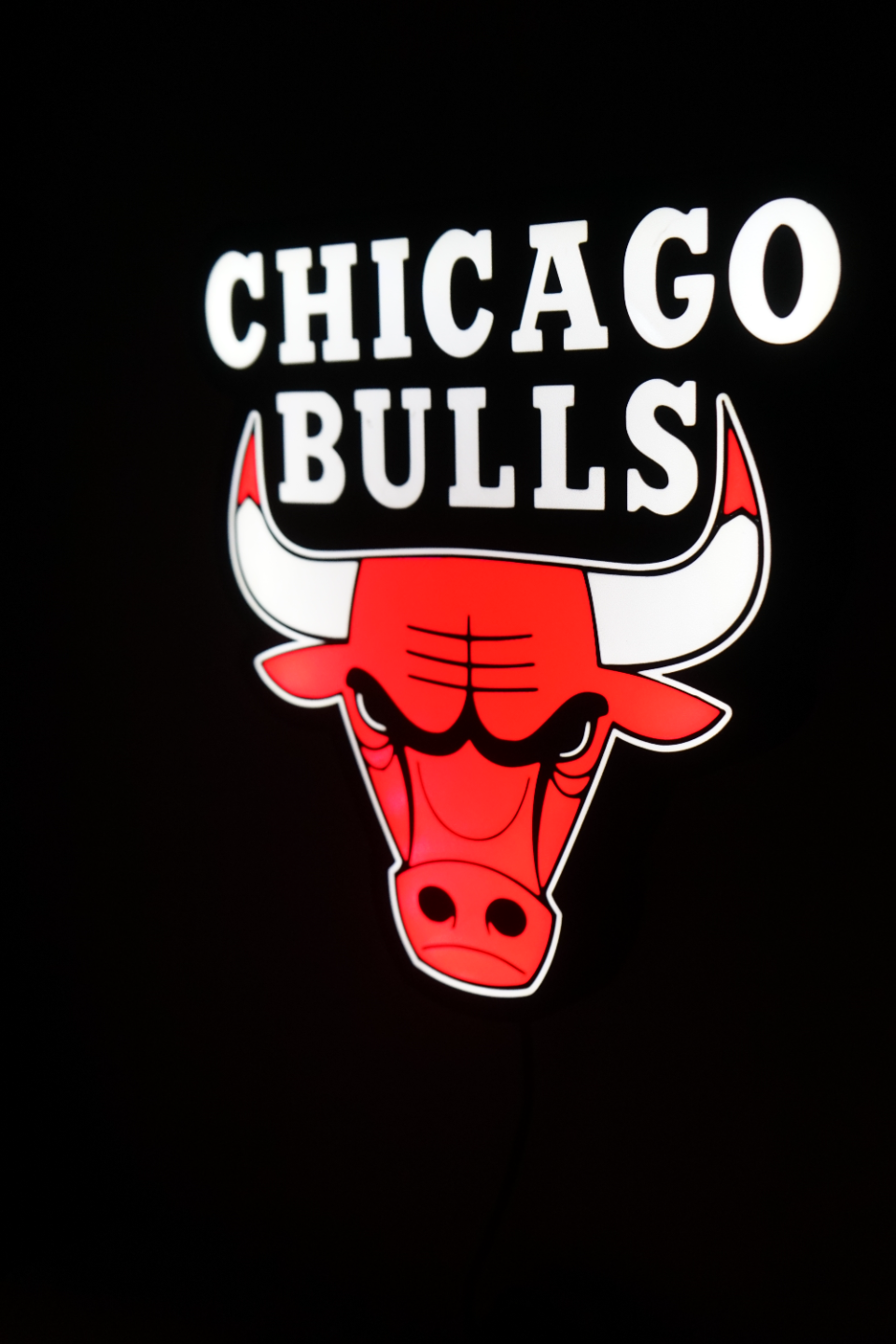 Chicago Bulls Logo