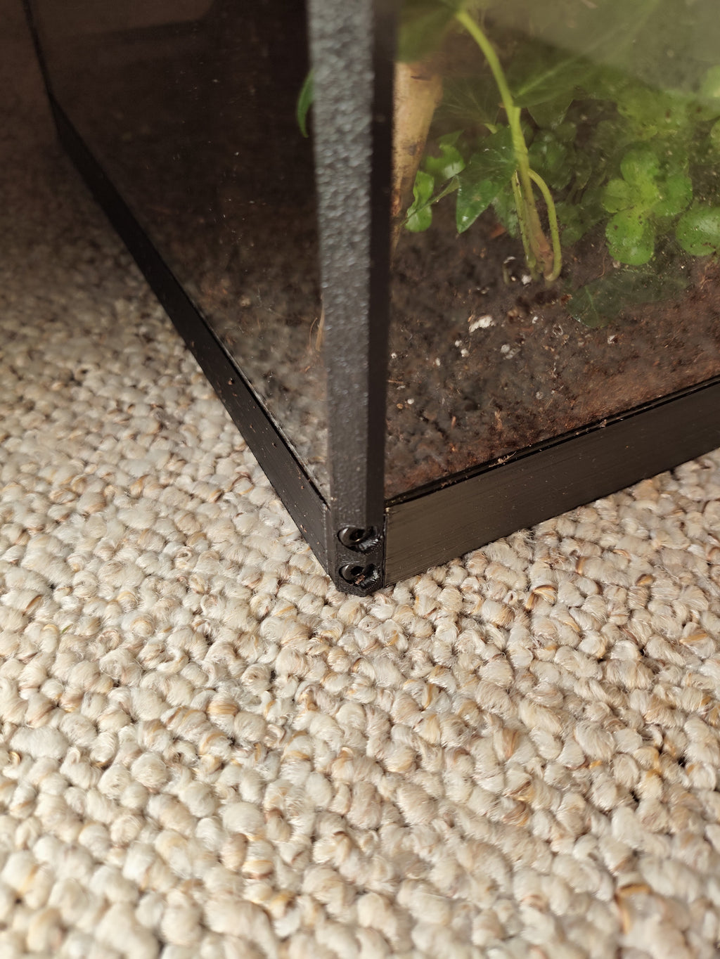 Terarrium 32 × 25 × 15 cm - Insectarium