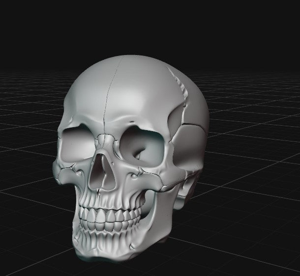 cranium