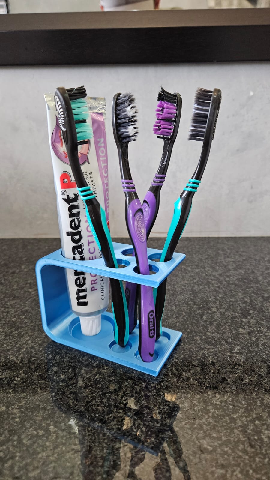 Toothpaste and Toothbrush Holder