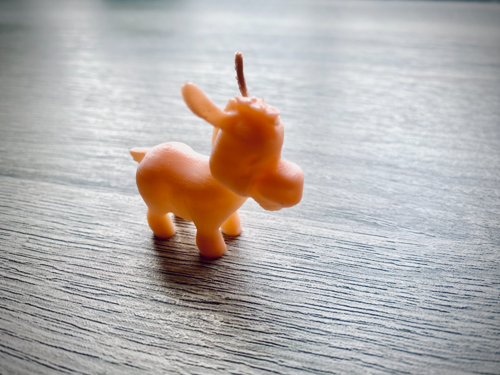 Little Donkey
