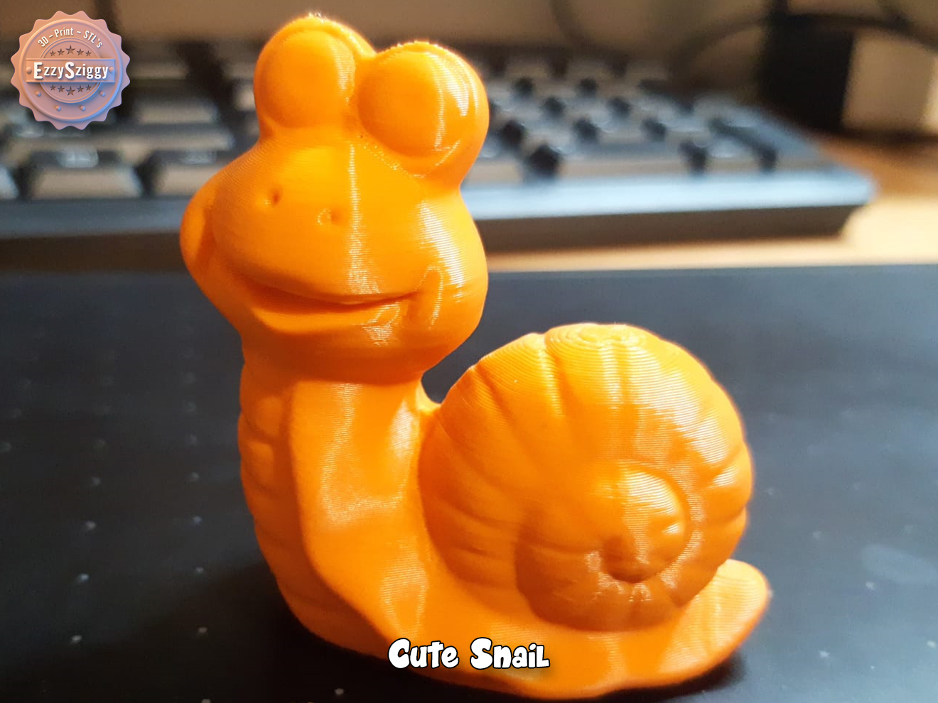 Cute Snail