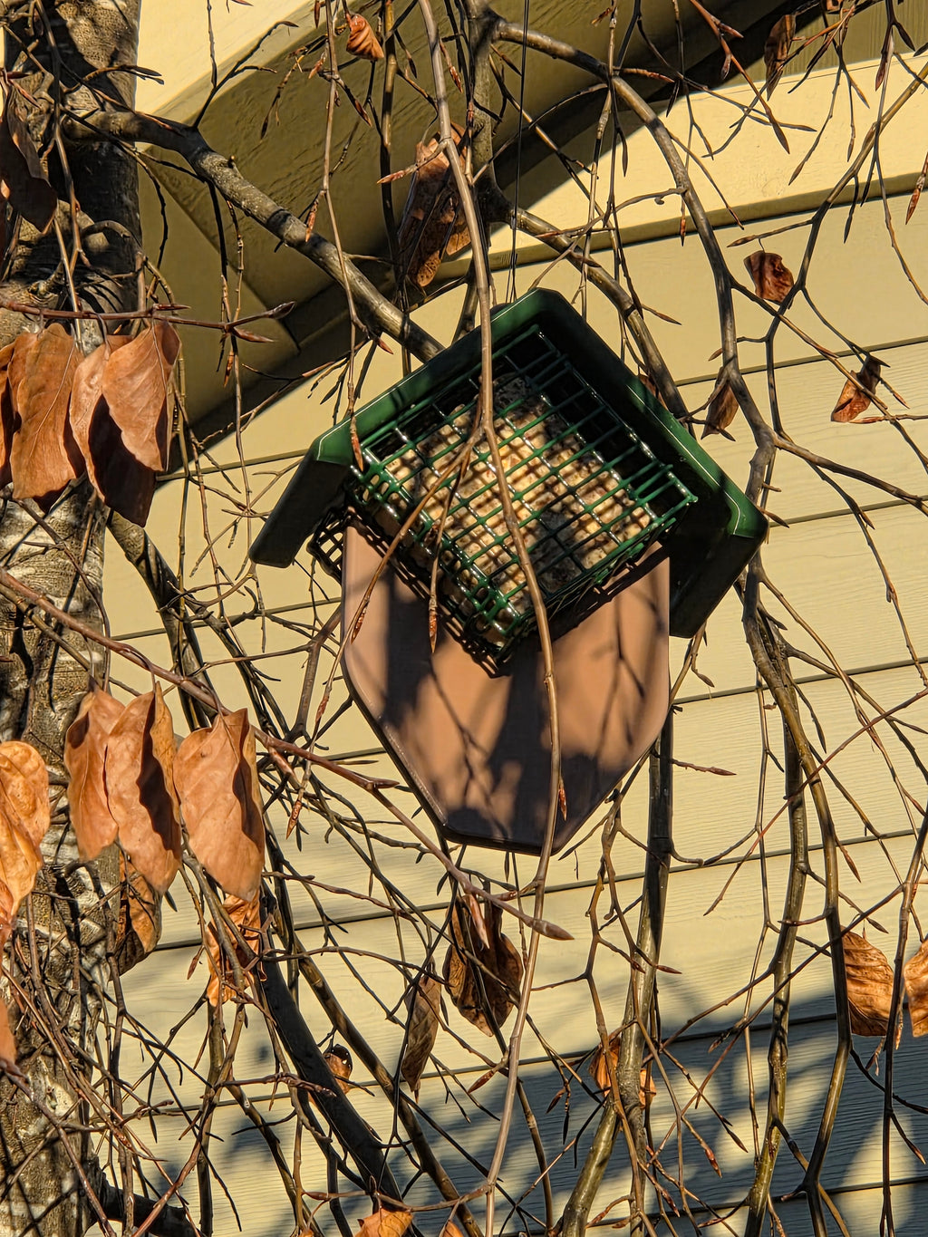 Double Suet Tail-Prop Feeder Great for Woodpeckers