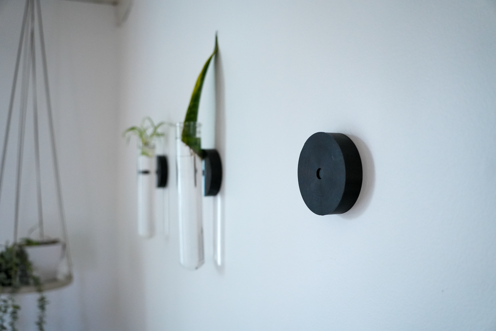Propagation Test Tube Plant Wall Mount
