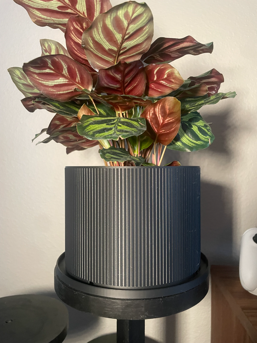 6 Inch Planter (Midcentury Modern)