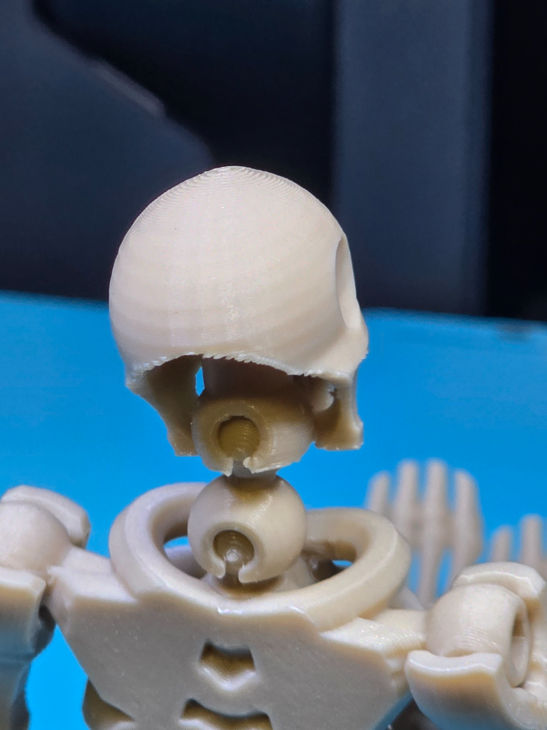 Poseable Skeleton
