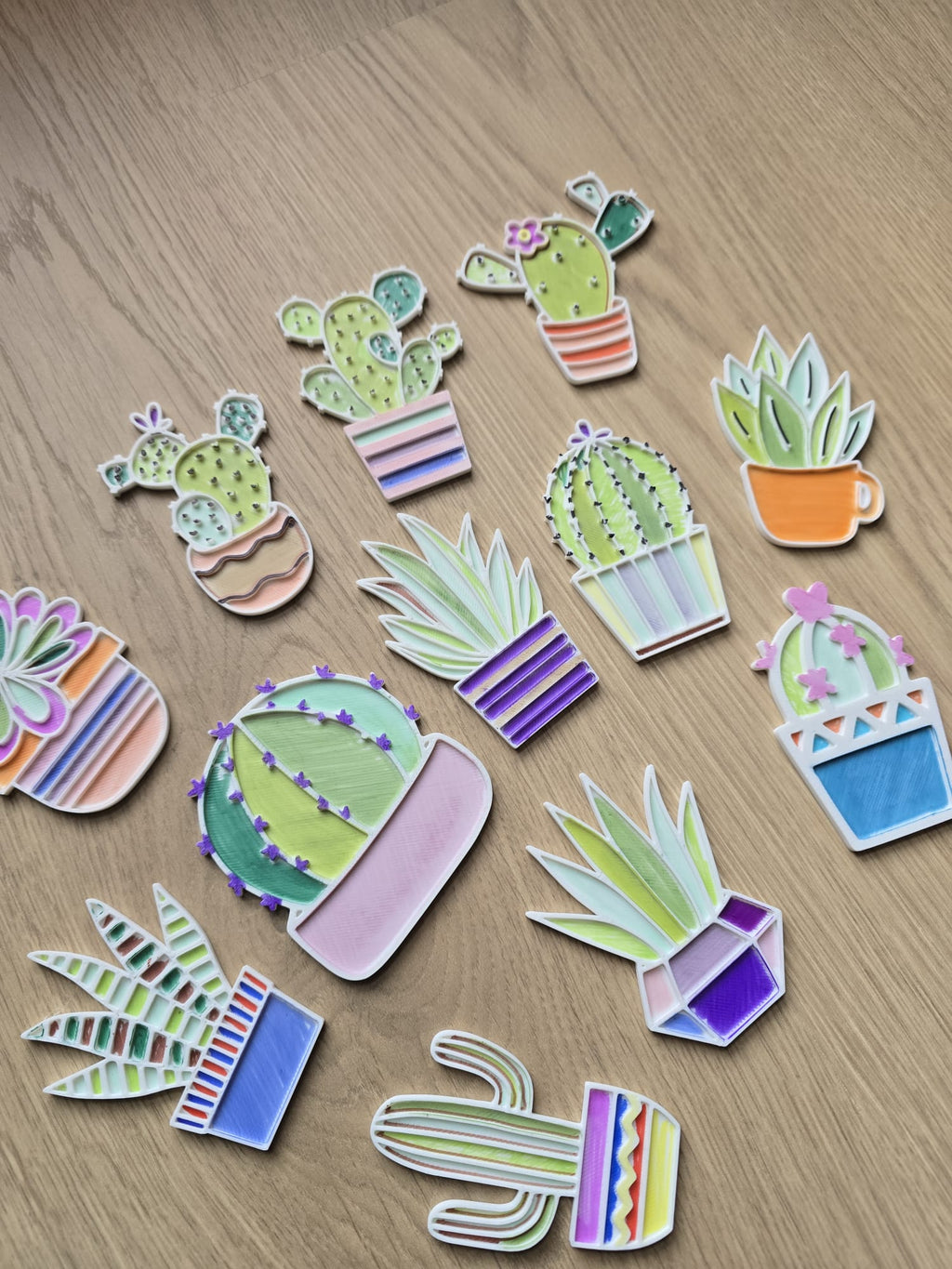 Plants Cactus Flower Pot Coloring Color Set Gift