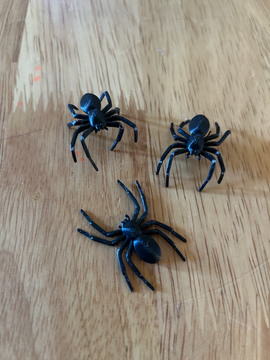 spider halloween