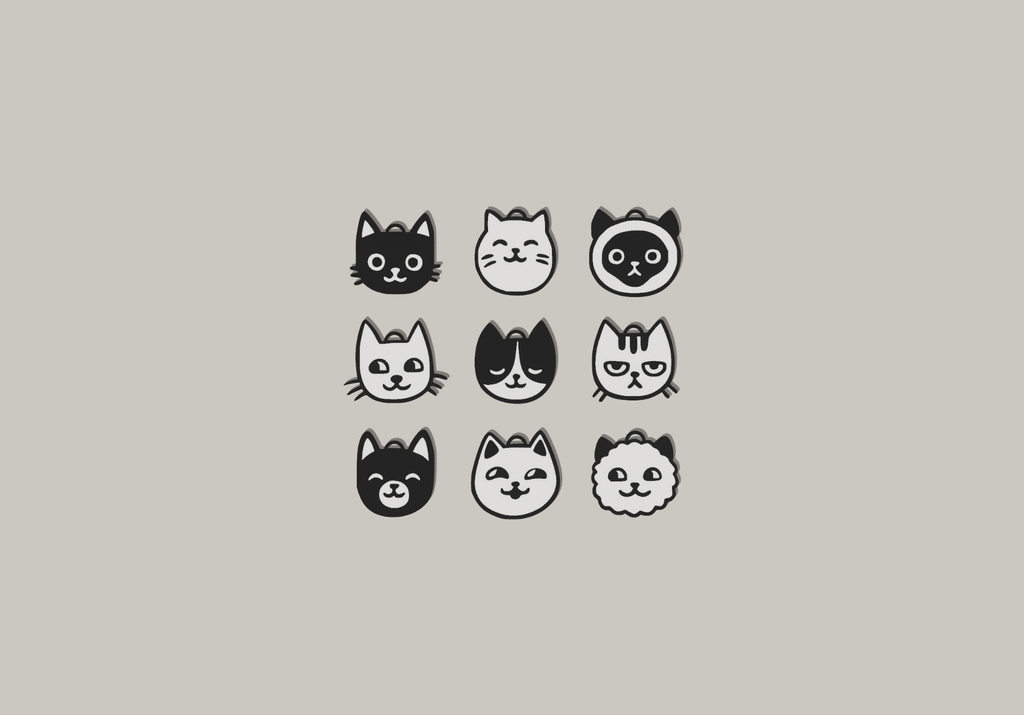 Cats earrings and keychains