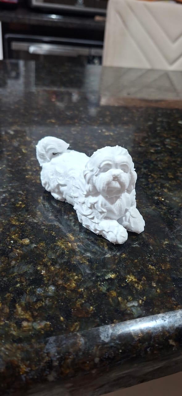 Shih Tzu cachorro