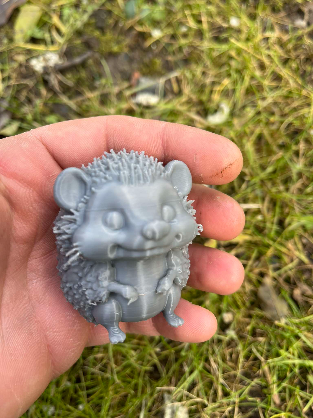 Hedgehog Family