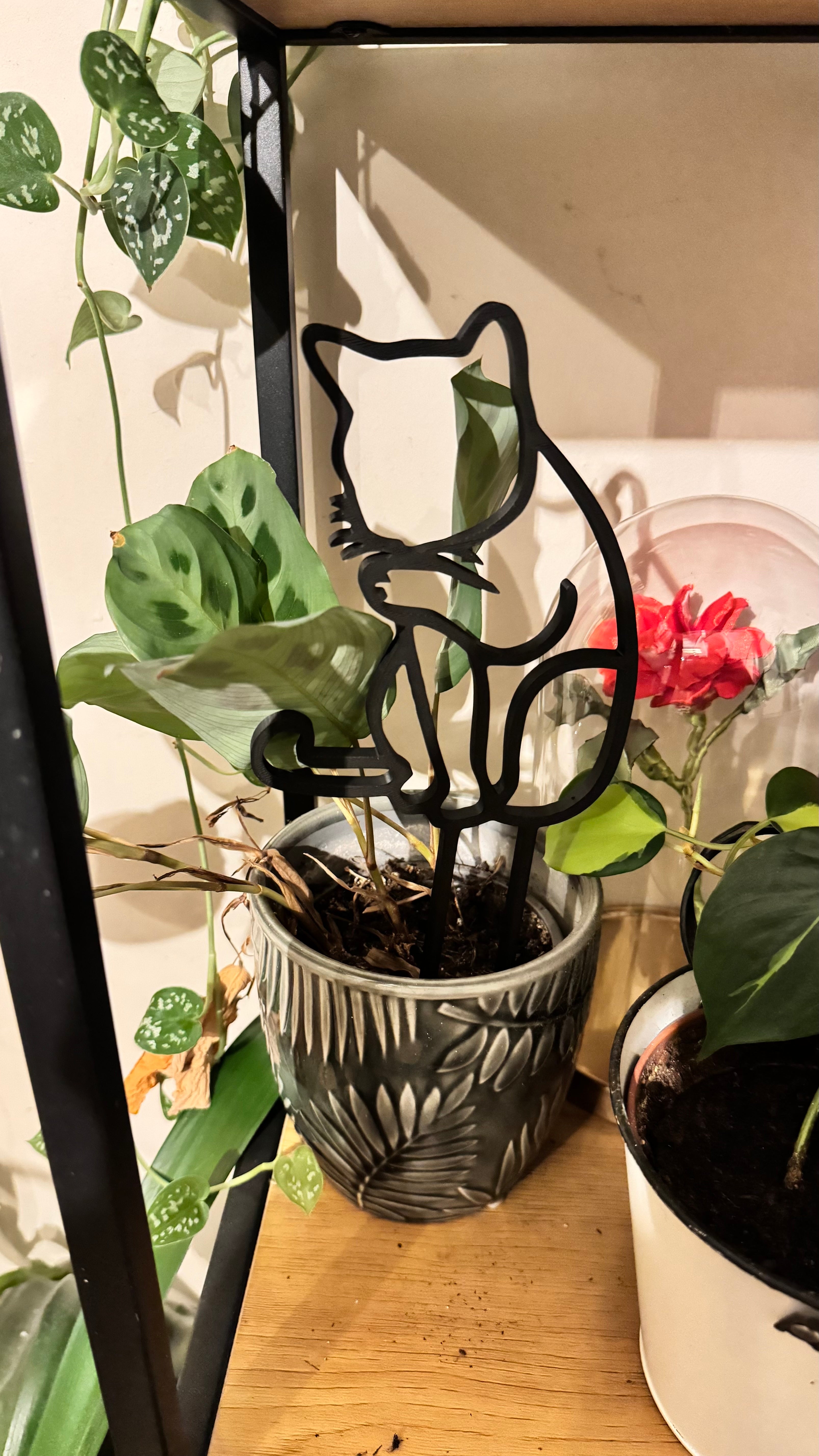 Plant trellis, support, Cat theme