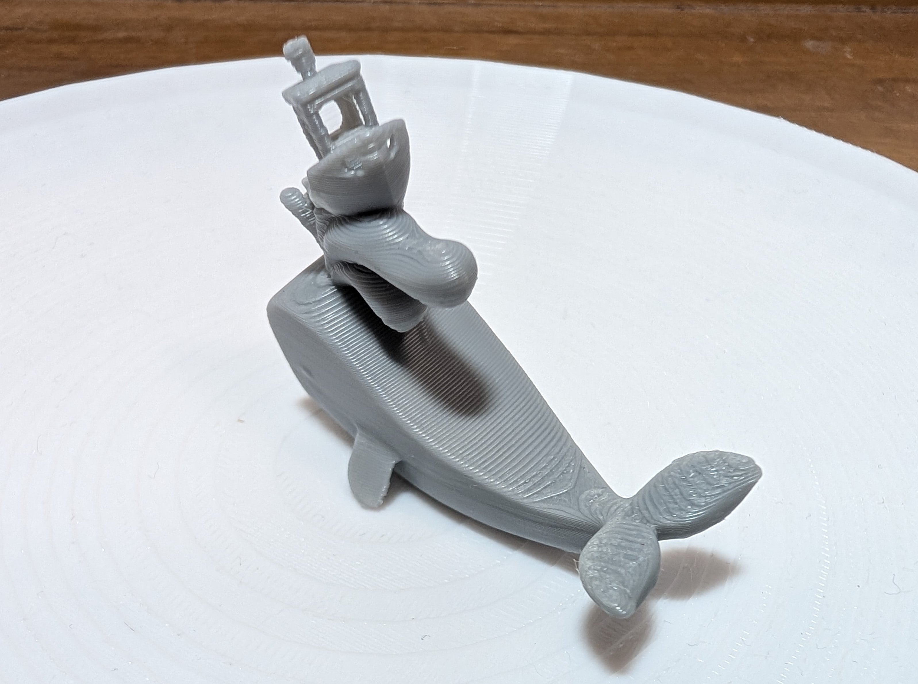 Benchy on Whale