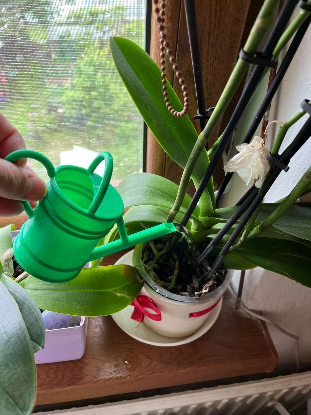 Minimalistic Watering can