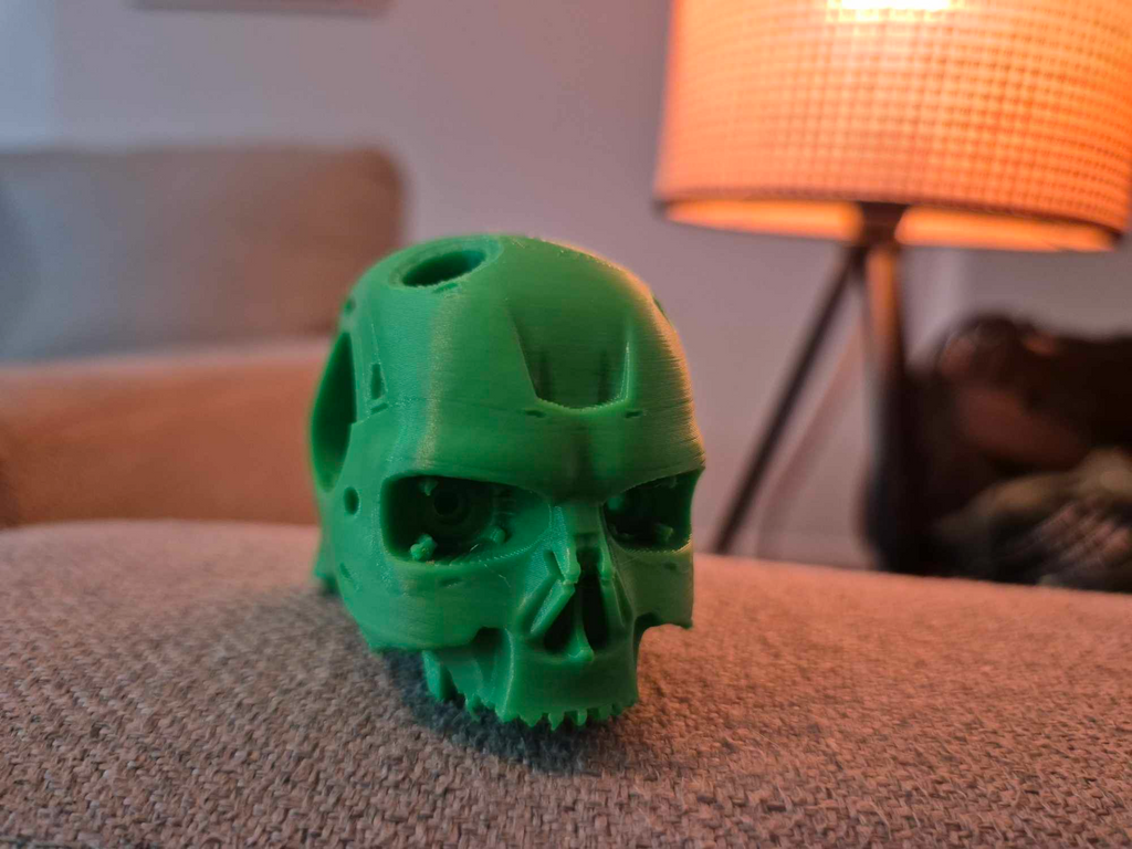 Terminator Inspired Skull
