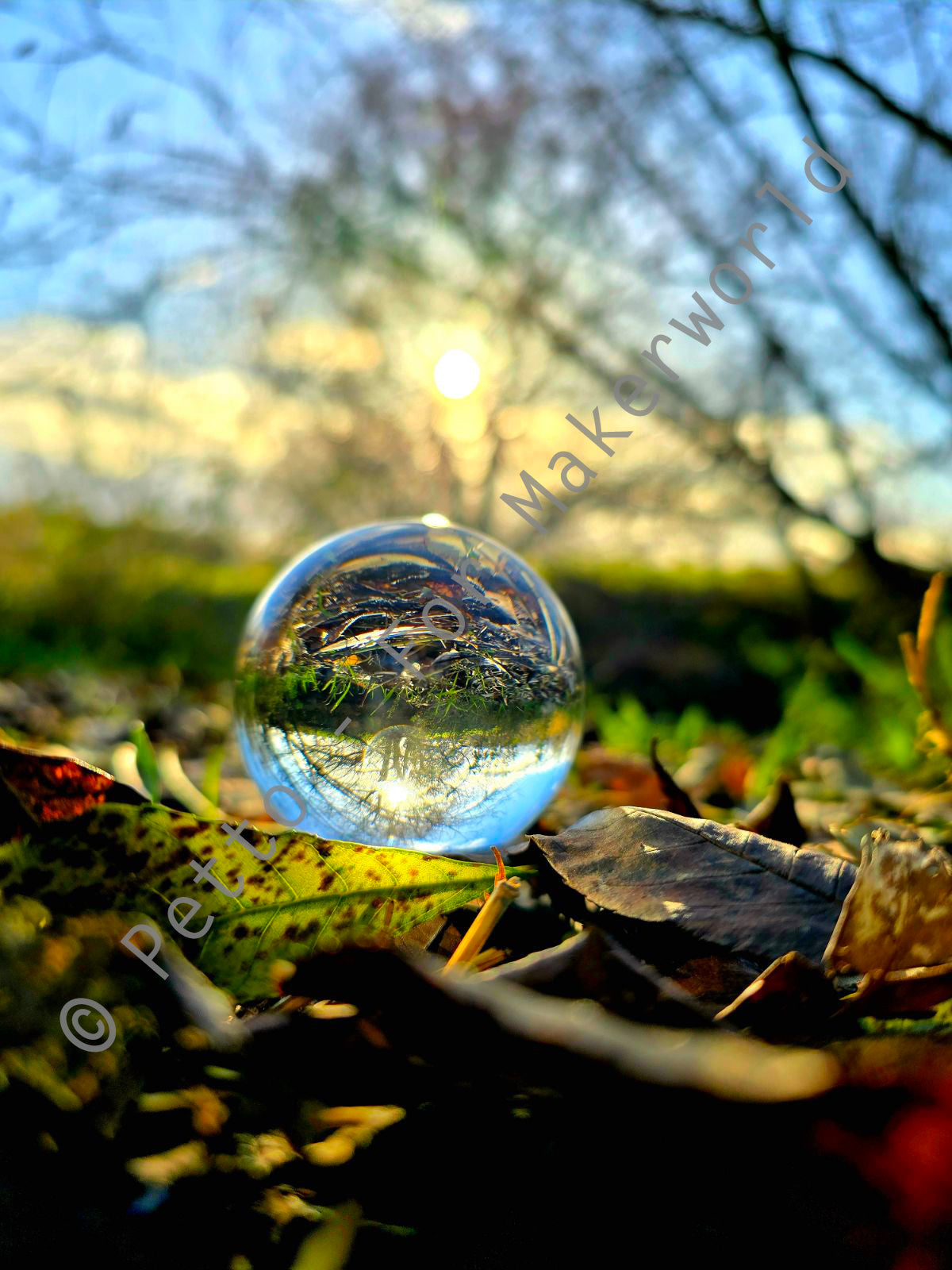 Simple Lensball Ring / Socket