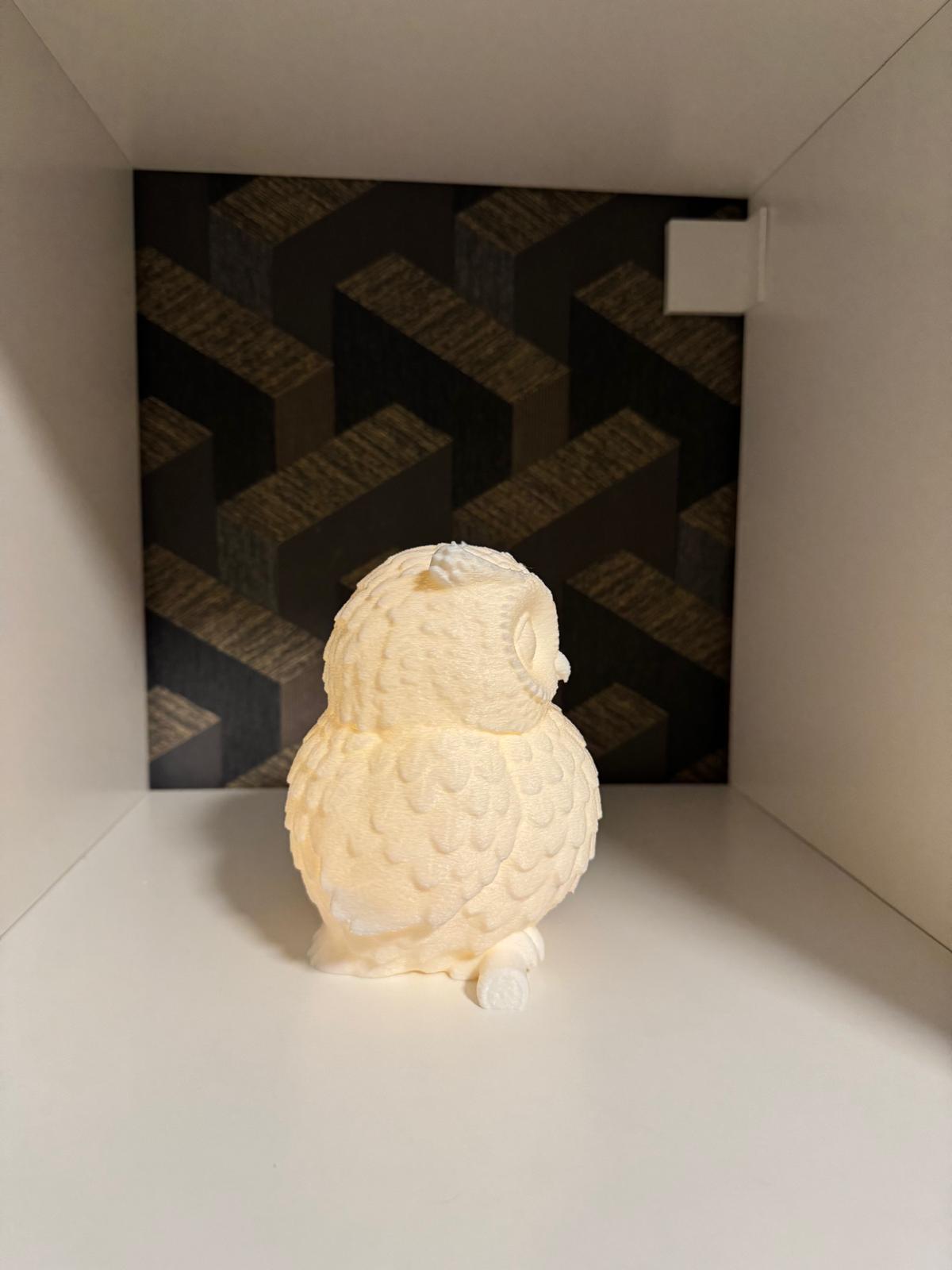 Owl LED