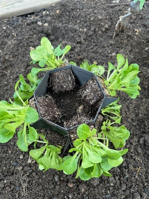 growtower, planttower, tower plant, planter,