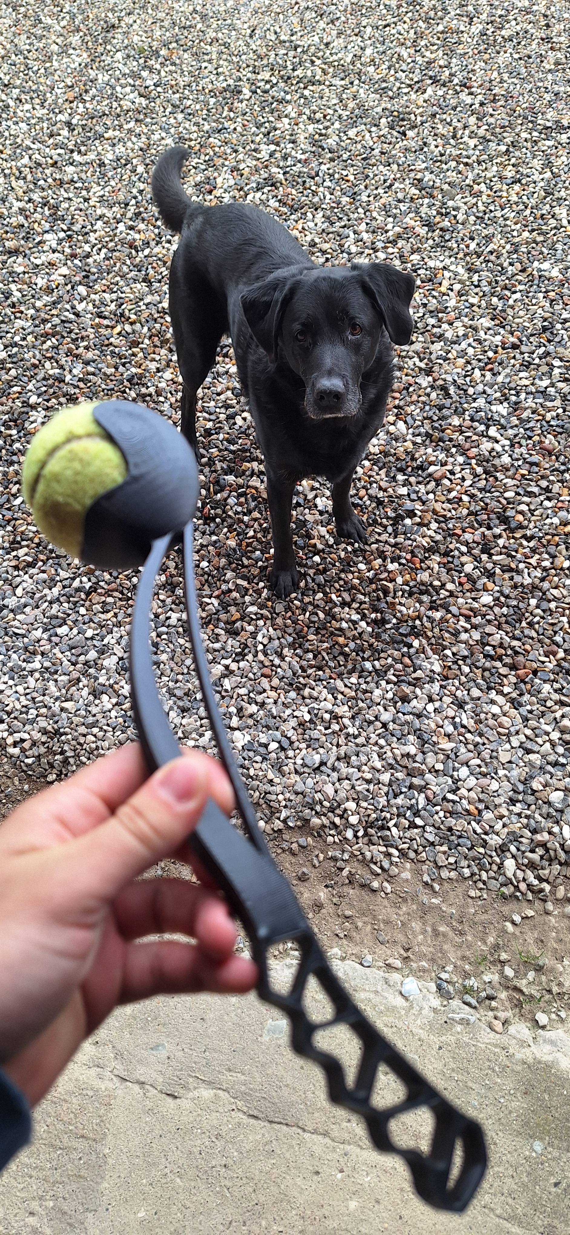 TPU ball thrower