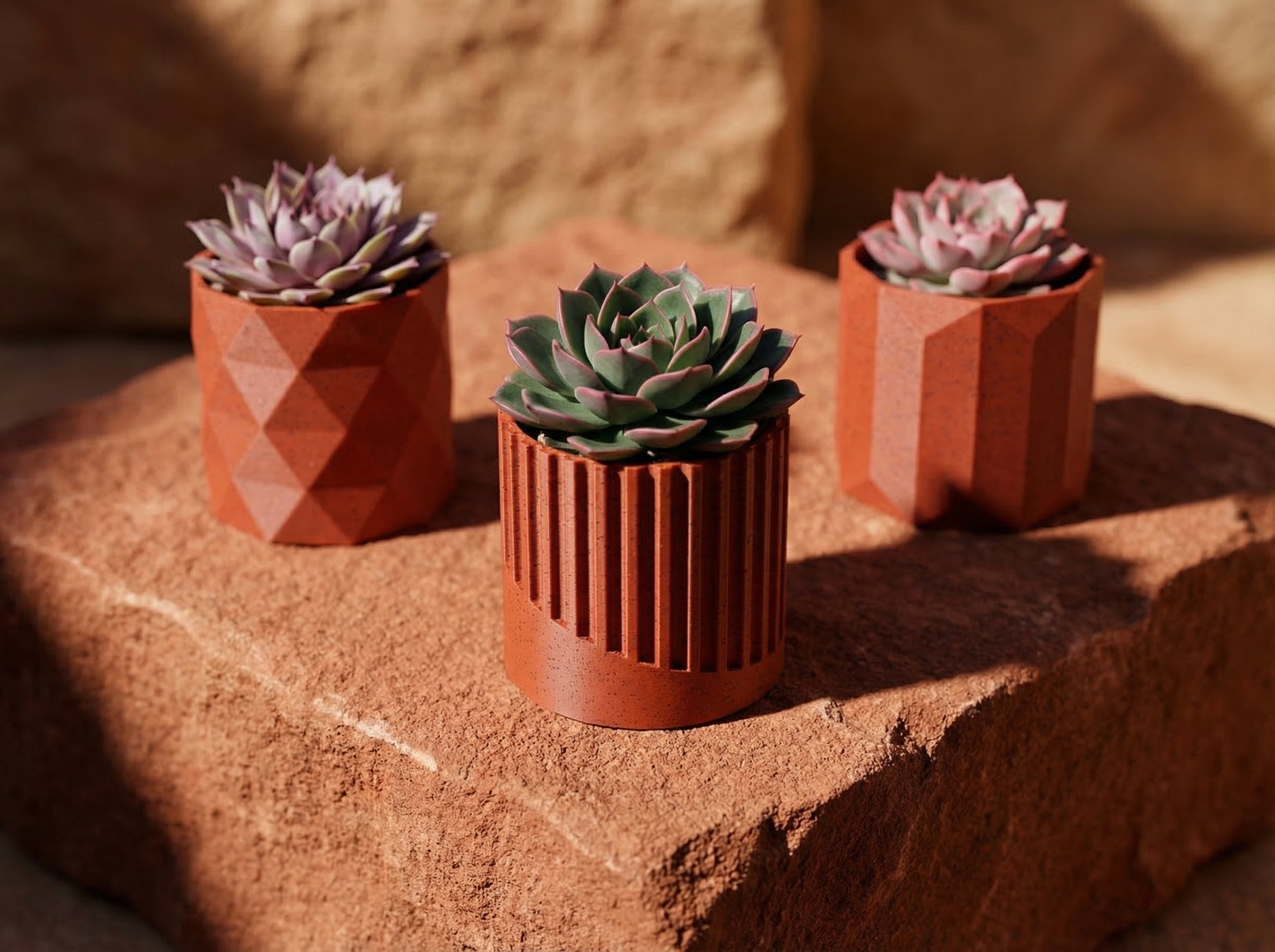 Minimalist Succulent Pot Collection - Set of 3