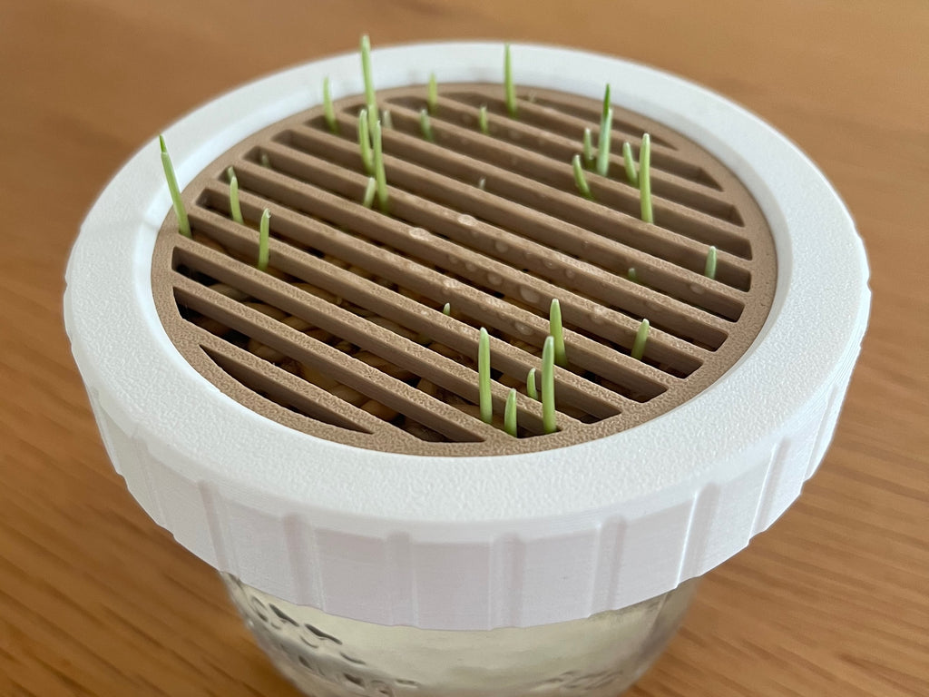 Cat Grass Growing Kit for Canning Jar