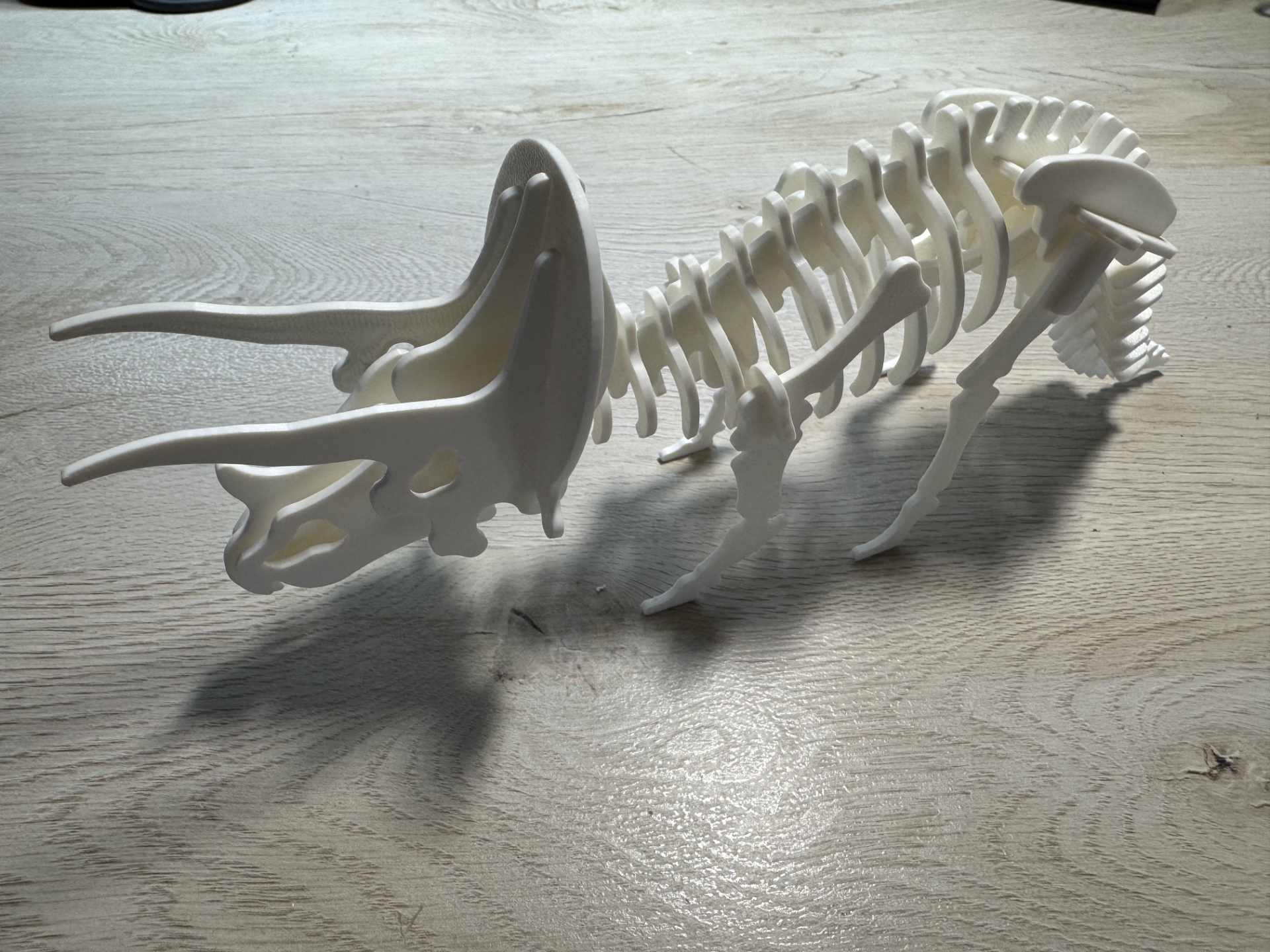 Triceratops Dinosaur Skeleton Puzzle