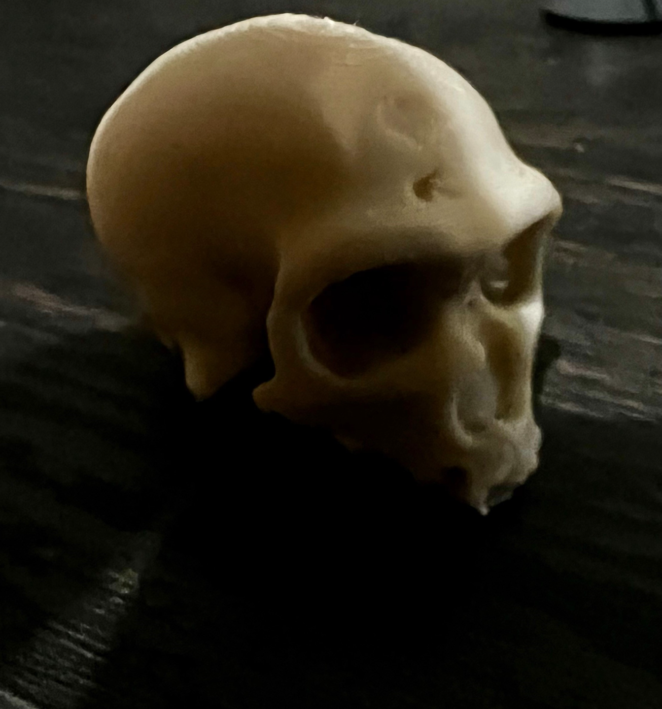 Damaged Cro-Magnon Skull
