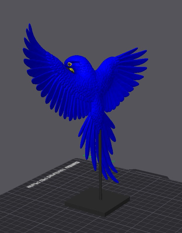Arara azul em uma base asas abertas