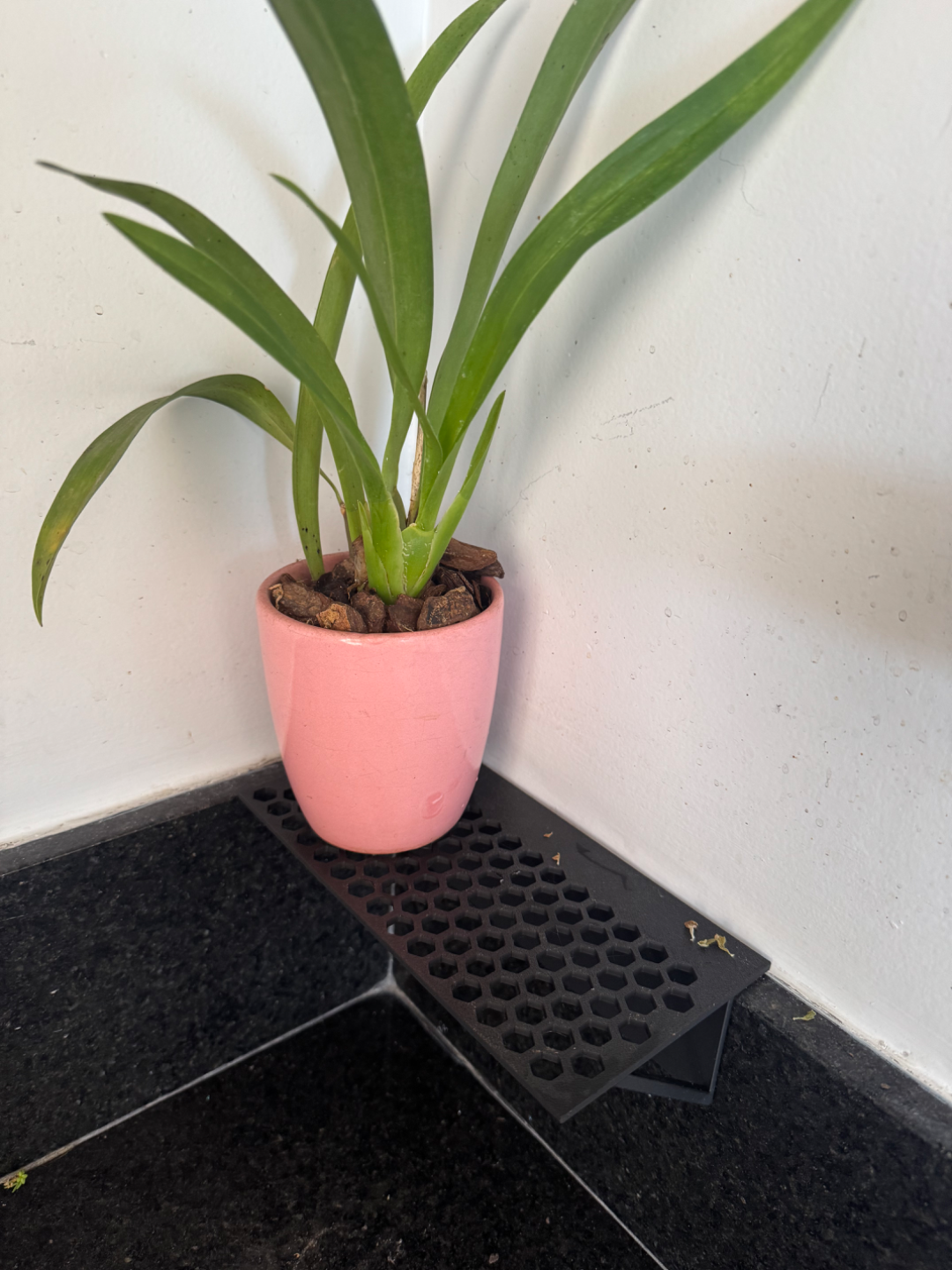 Shelf 200x100