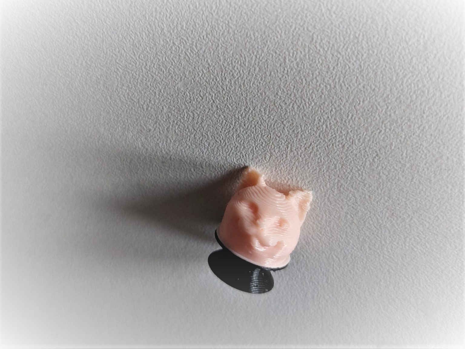 Cat Croc Charm