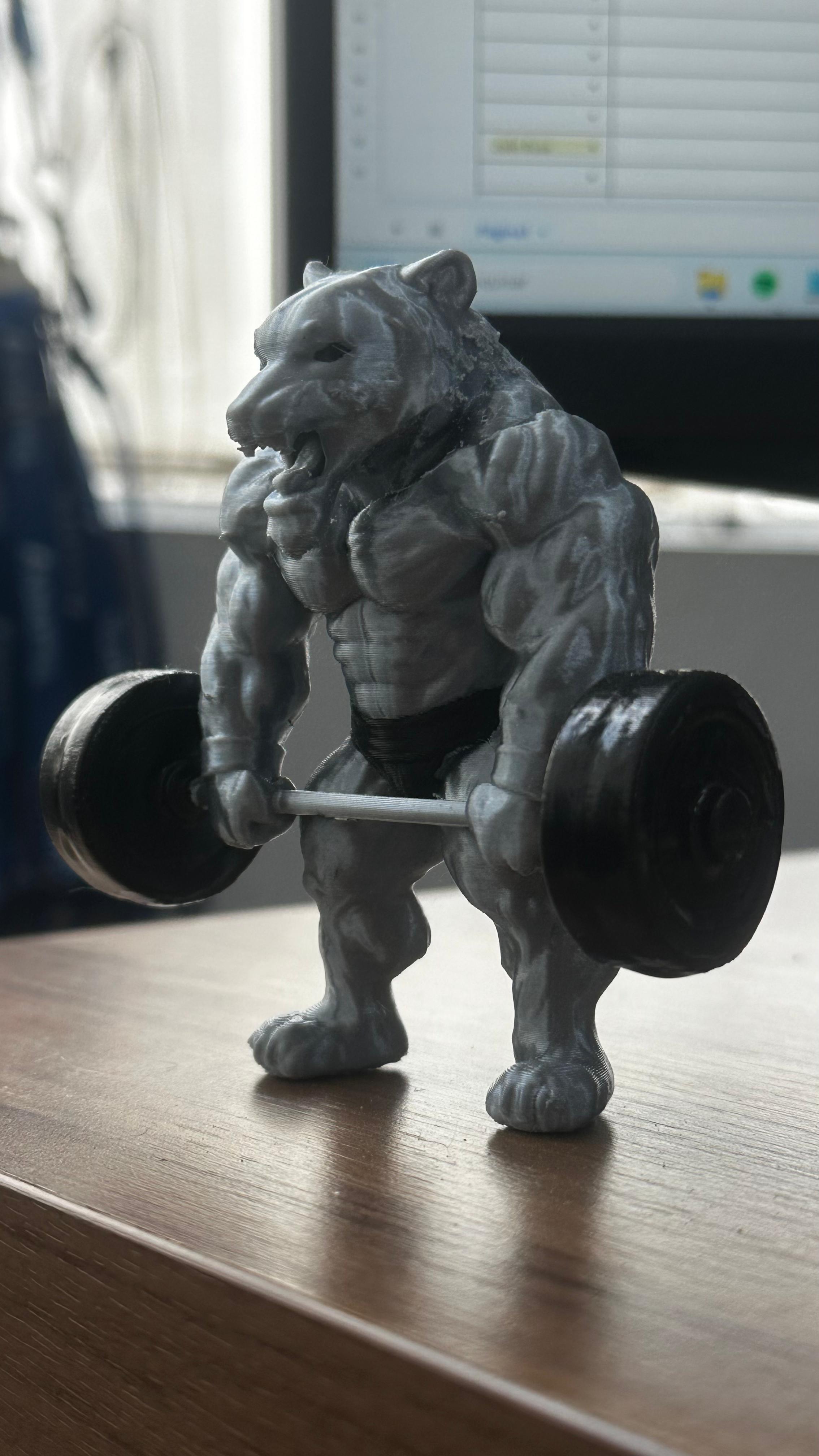 Miniatura 3D tigre musculoso halteres academia