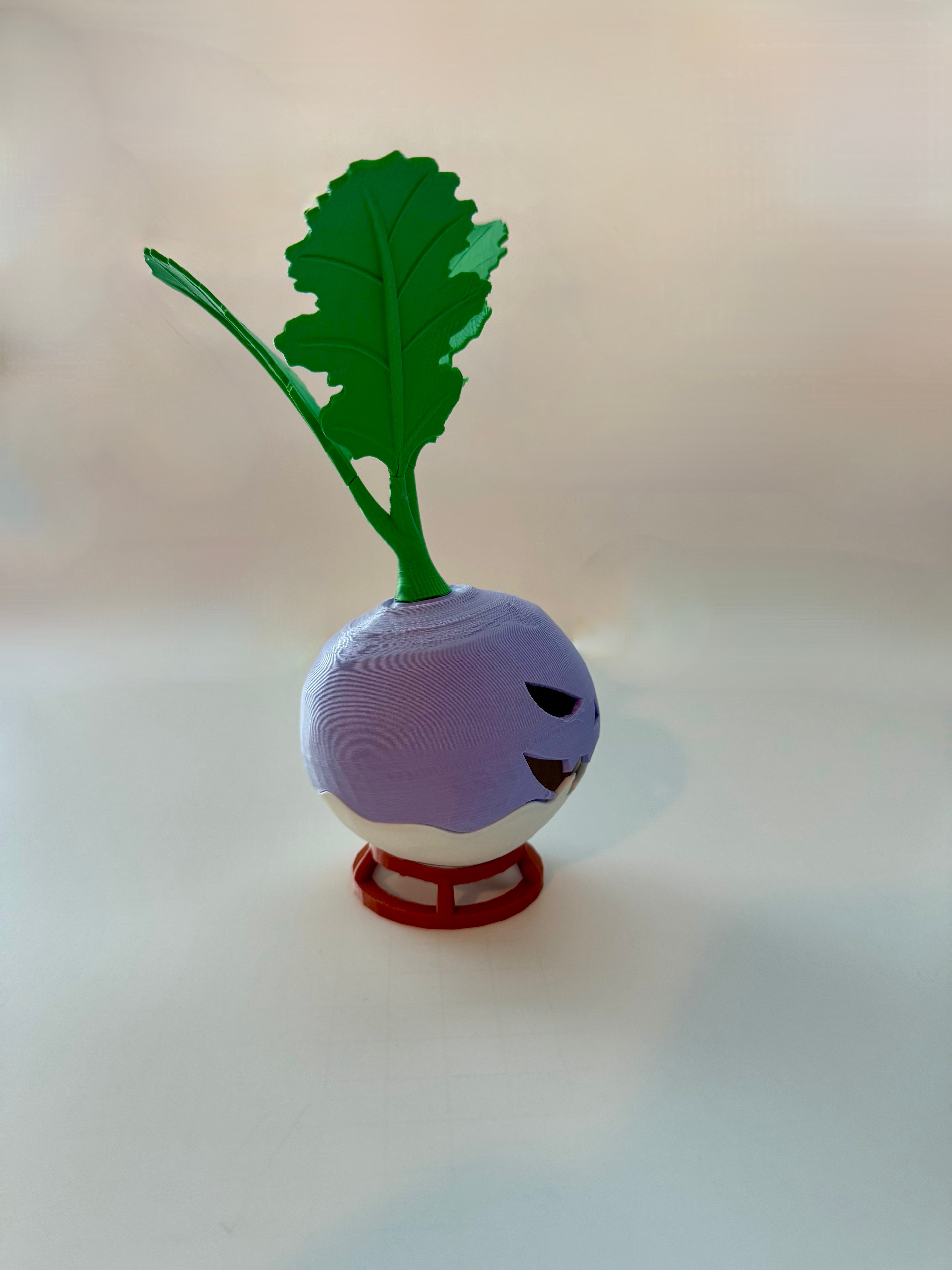 Jack-O’-Turnip